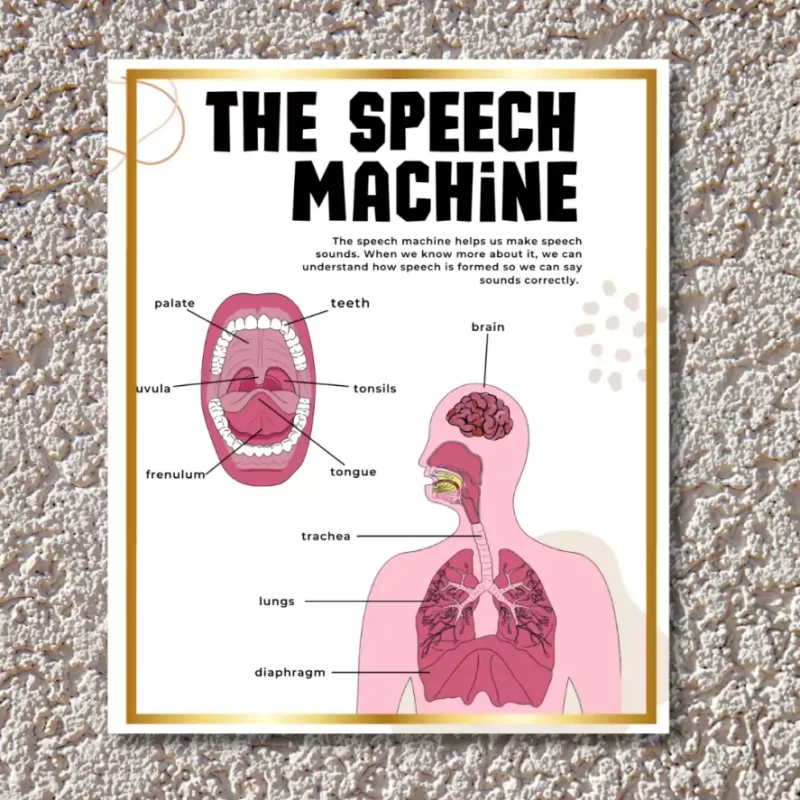 "The speech machine" -Instructional Flex Banner