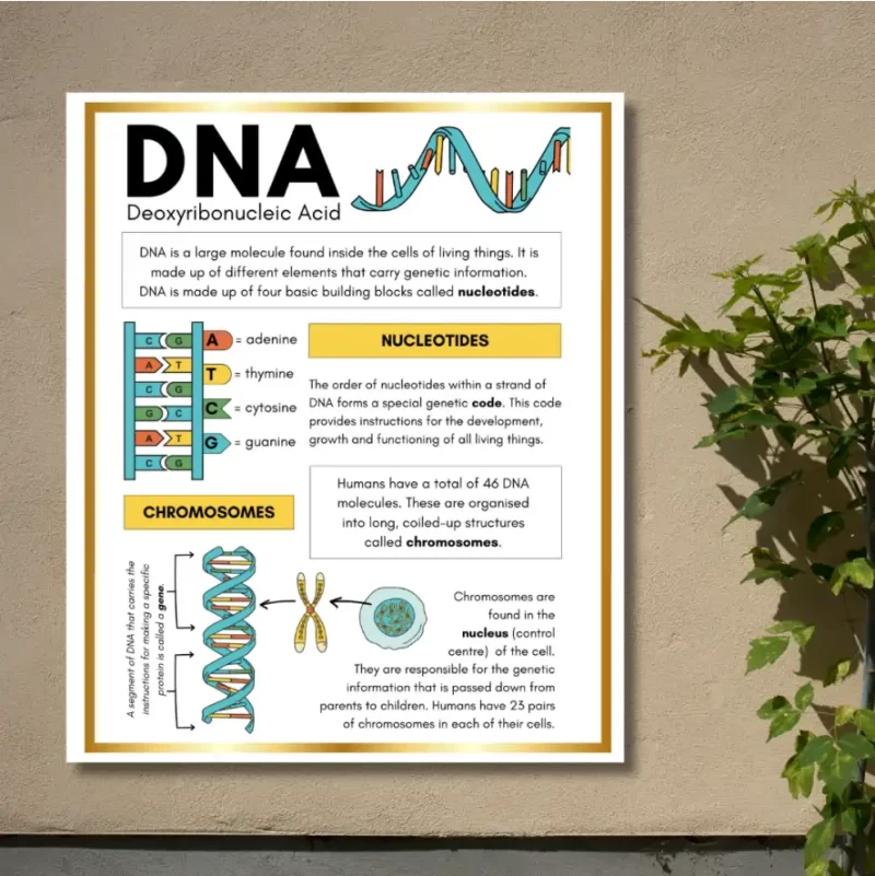 "DNA"  - Instructional Flex Banner