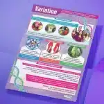 "Variation" - Science instructional flex banner