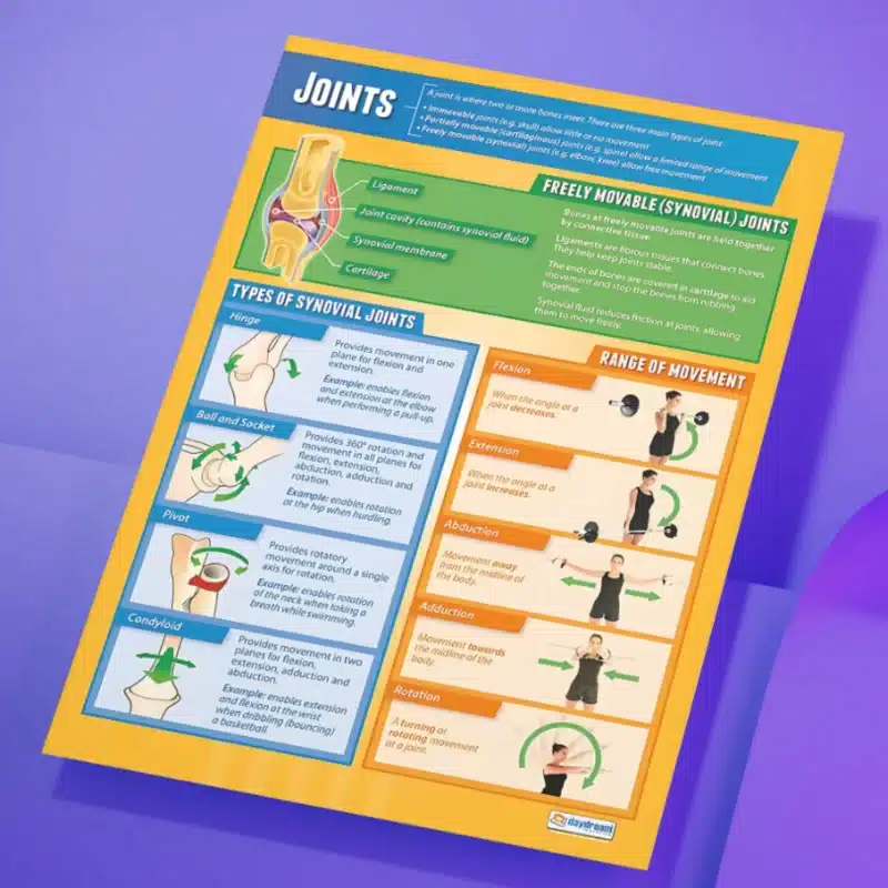 "Joints" - Science instructional flex banner