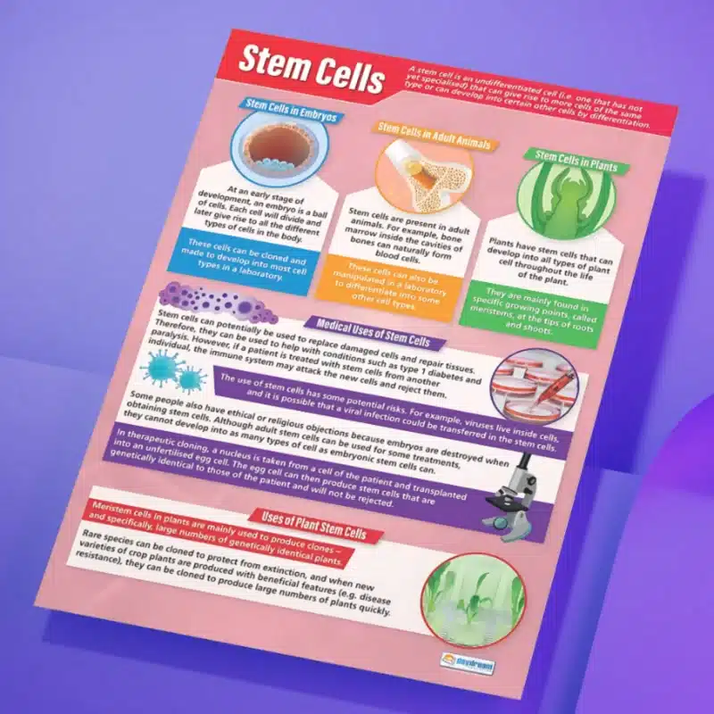 "Stem cells" - Science instructional flex banner