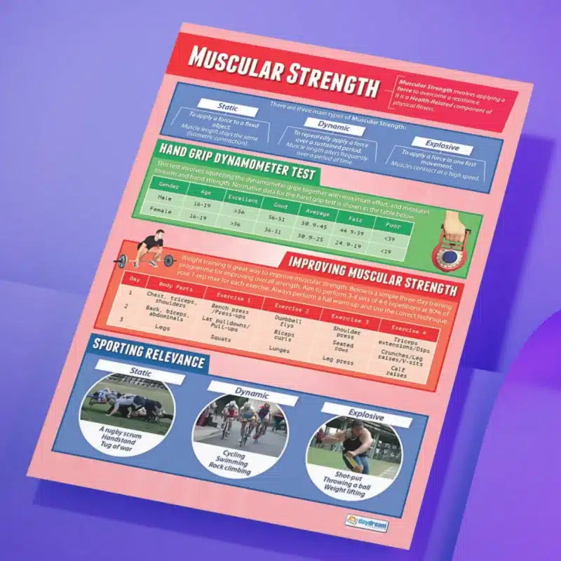 "Muscular strength" - PHE instructional flex banner