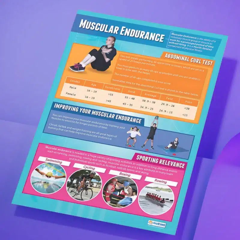 "Muscular endurance" - PHE instructional flex banner