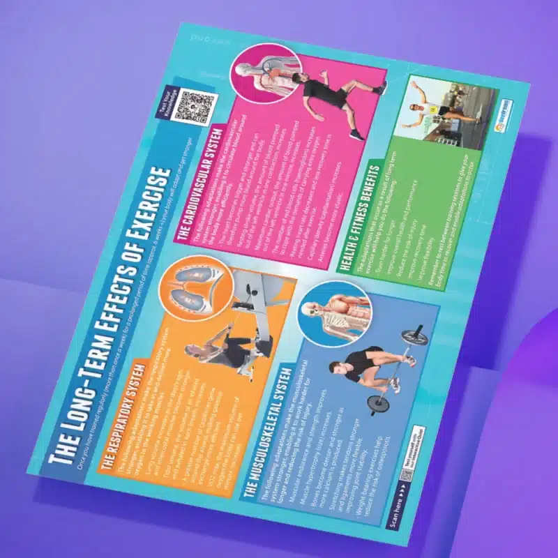 "The long-term effects of exercise" - PHE instructional flex banner