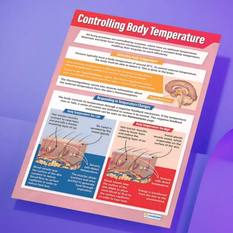 "Controlling body temperature" - Science instructional flex banner