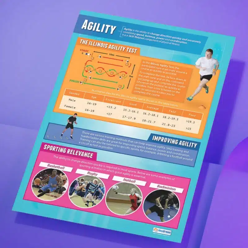 "Agility" - PHE instructional flex banner