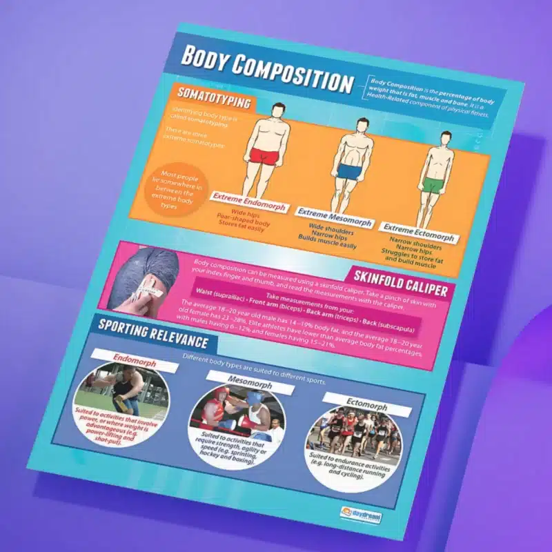 "Body composition" - PHE instructional  flex banner