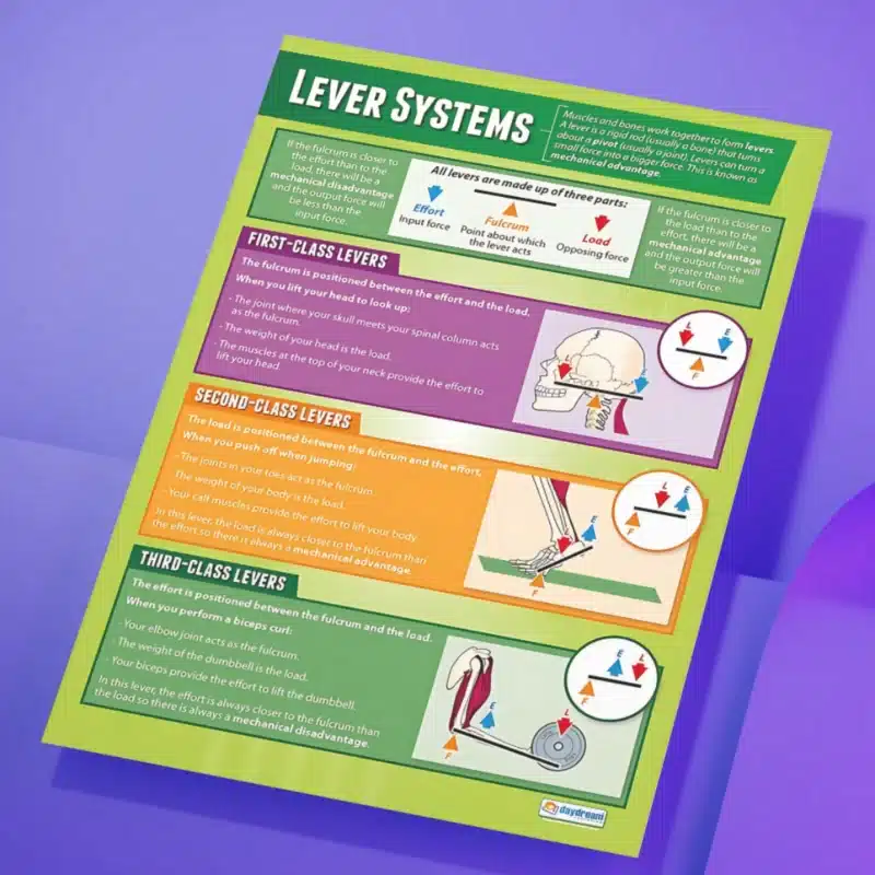 "Lever system" - PHE instructional flex banner