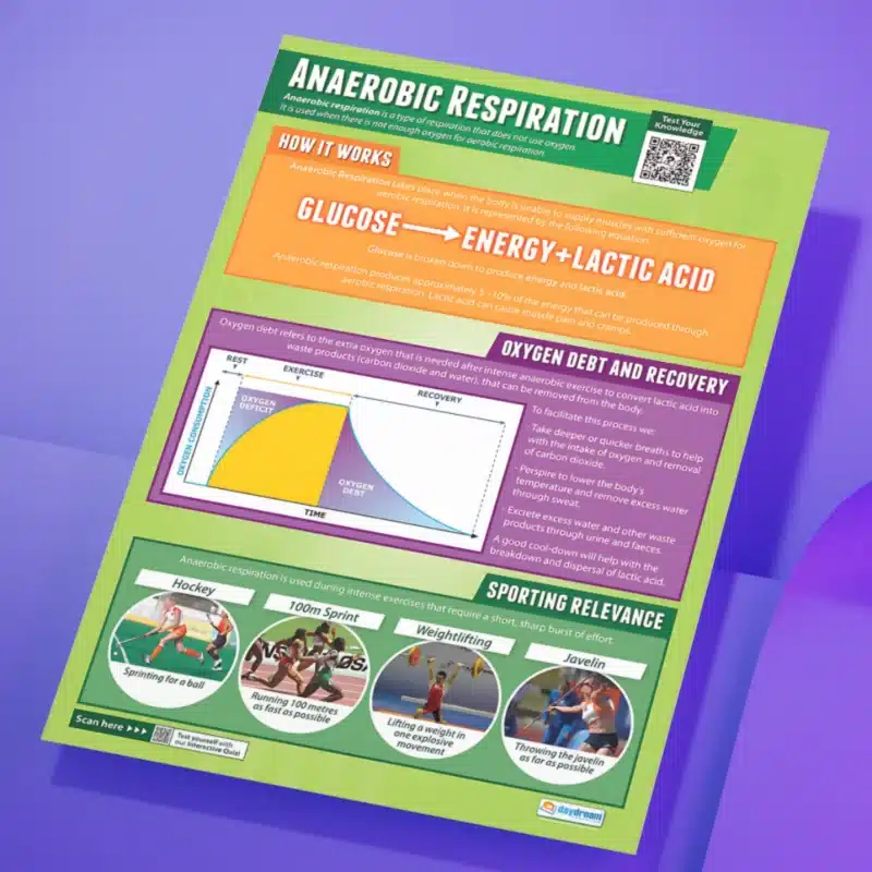 "Anaerobic respiration" - PHE instructional flex banner