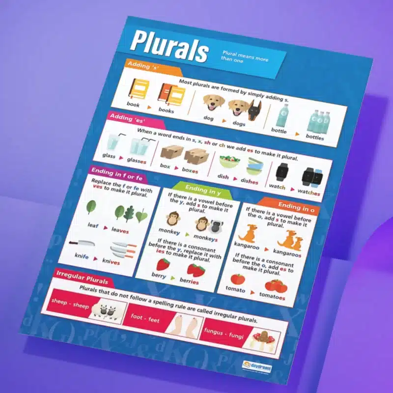 "Plurals" - English instructional flex banner