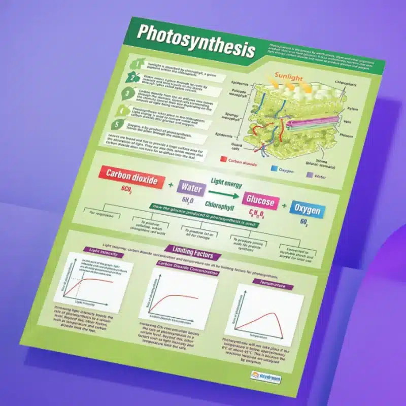 "Photosynthesis" - Science instructional flex baner