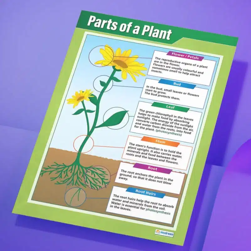 "Parts of a plant" - Science instructional flex banner