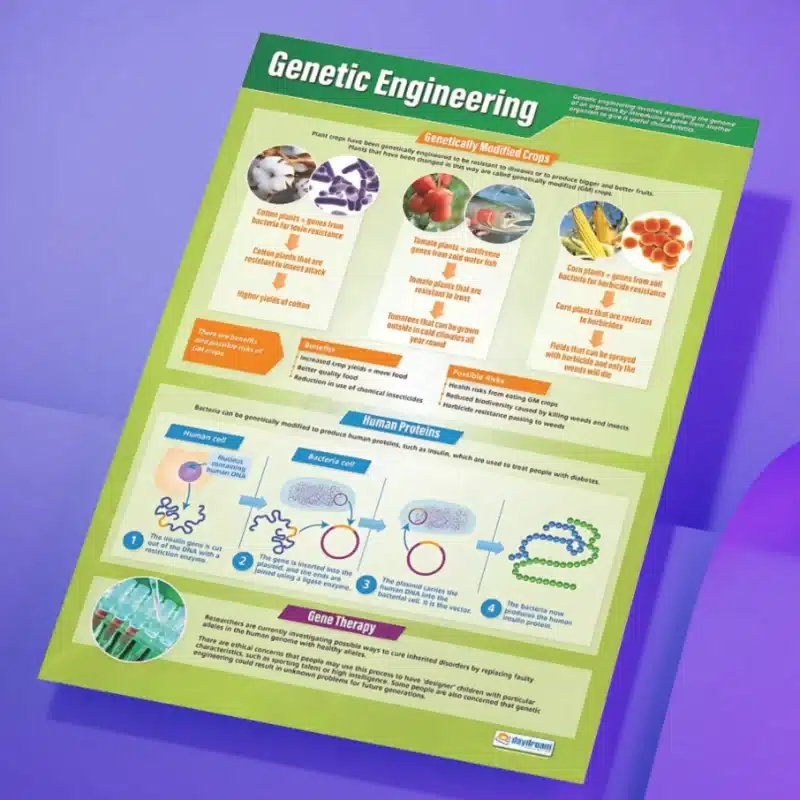 "Genetic engineering" - Science instructional flex banner