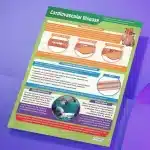 "Cardiovascular disease" - Science instructional flex banner