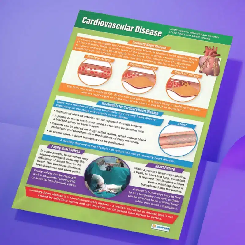 "Cardiovascular disease" - Science instructional flex banner