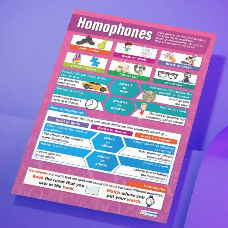 "Homophones" - English instructional flex banner