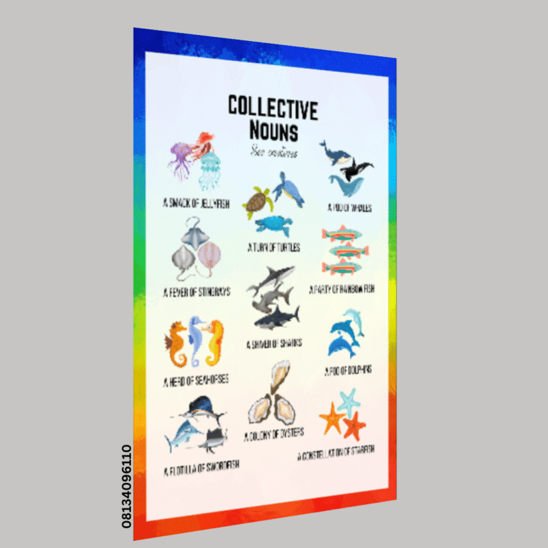 "Collective Nouns"-  -Classroom Instructional Posters