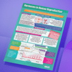 Hormones in human reproduction" - Science instructional flex banner