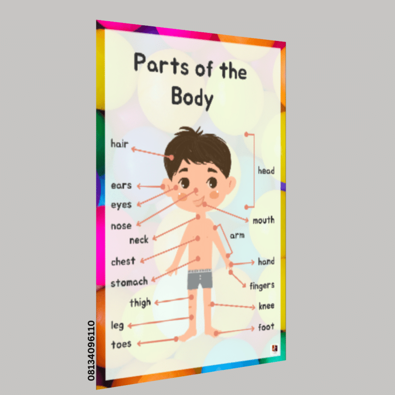 "Parts of the Body"-  -Classroom Instructional Posters