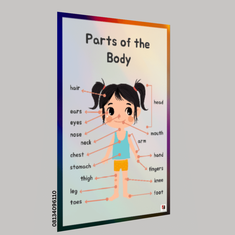 "Parts of the Body"-  -Classroom Instructional Posters