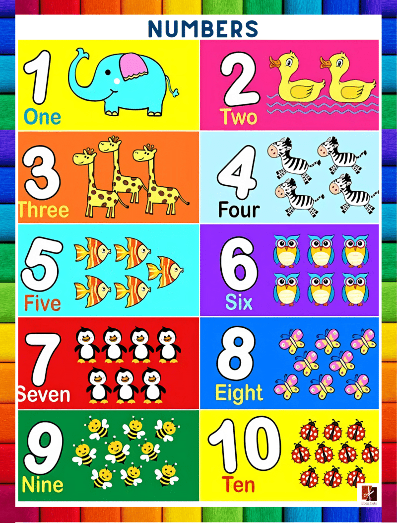 "Numbers" - Primary instructional Poster