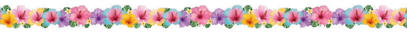 "Colorful Flower theme" - Classroom Sticker Border